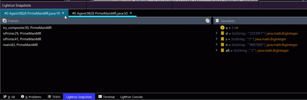 Viewing a Lightrun snapshot