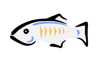 Glassfish