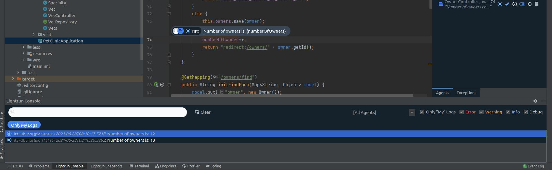 Plugin Console