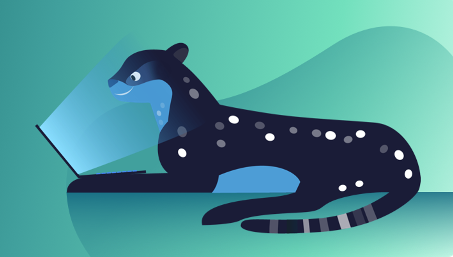 Cheetah debugging