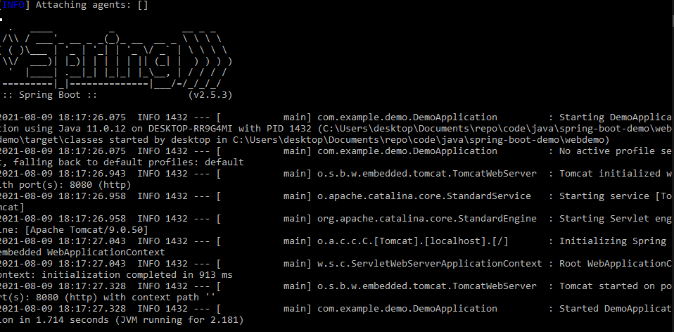 Spring Boot server running from the command line. Large ‘Spring’ text written in special characters, and technical output below