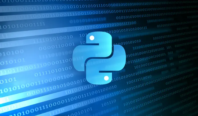 Dynamic Code Instrumentation in a Python Application